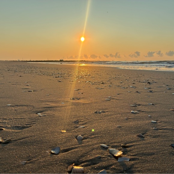 🫧🍄L.  I.  V.  E.🍄🫧 - Picture 11 of 14